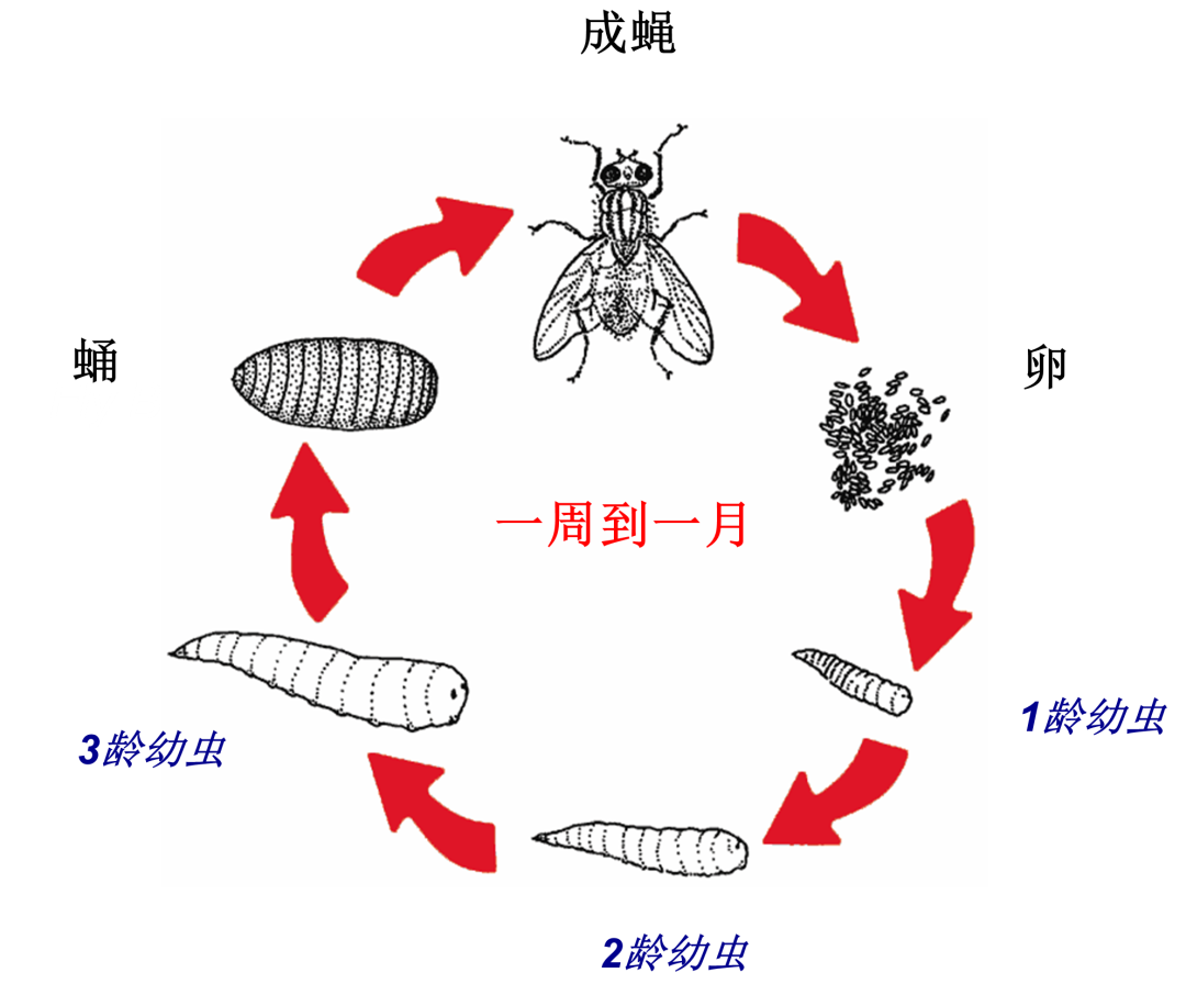 微信图片_20221213151819.png