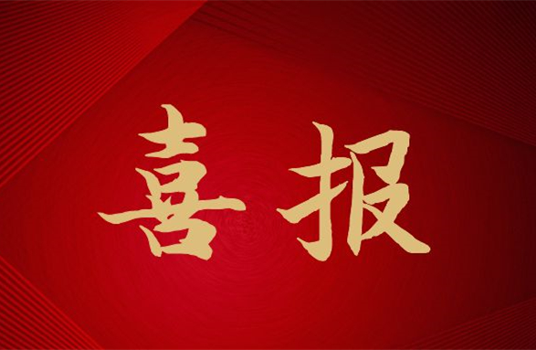 我司荣登2021中国石油和化工企业500强榜单第115位